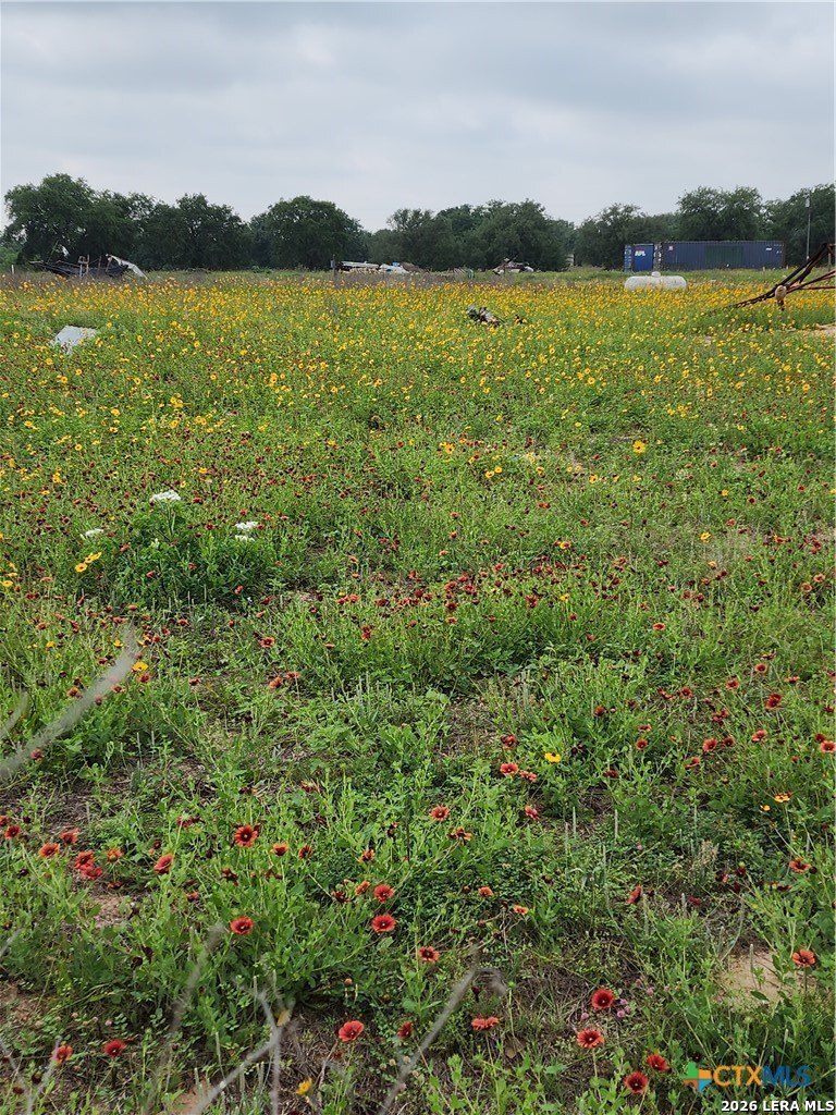 3921 CR 334, Stockdale, TX 78160