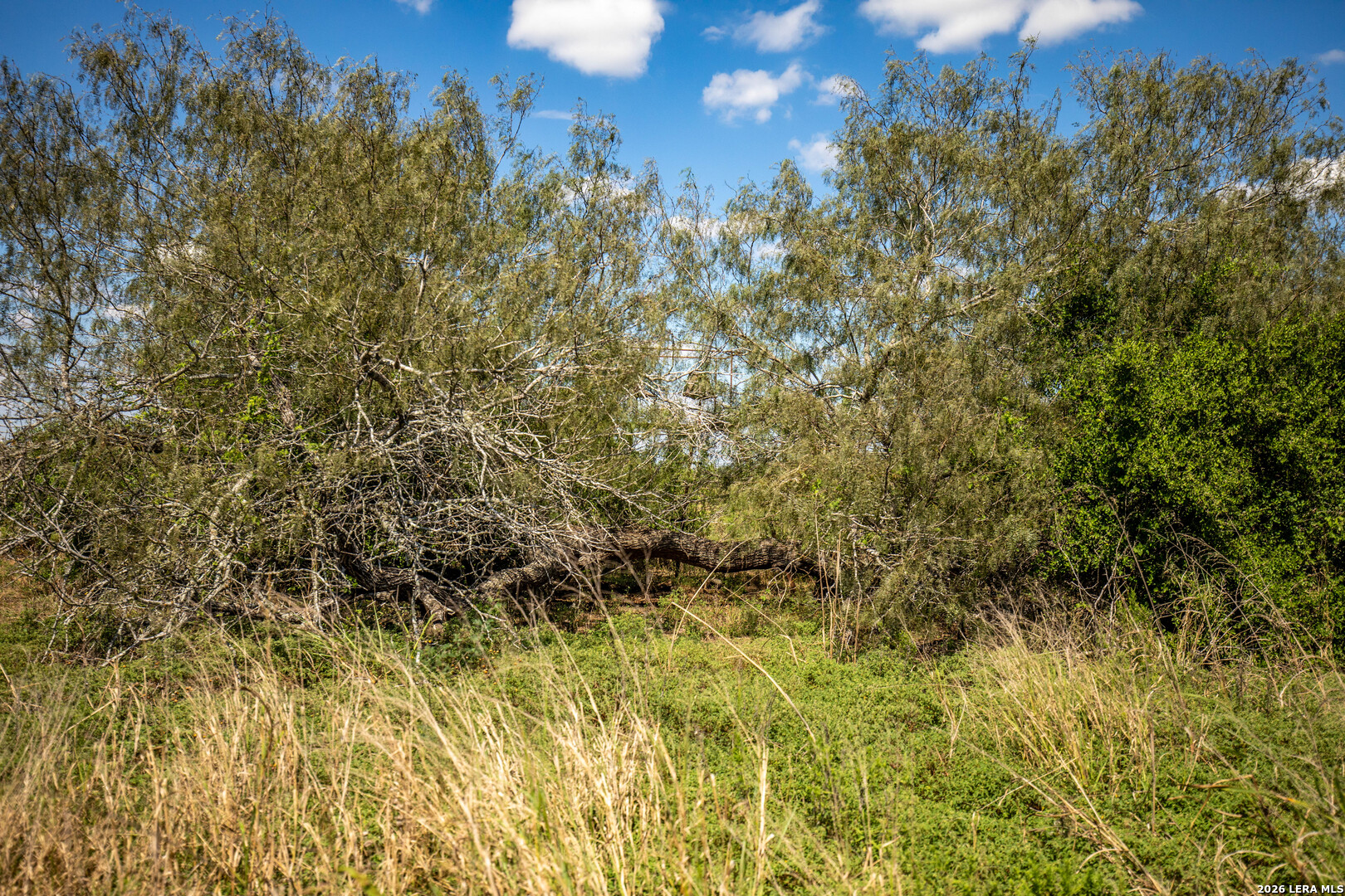 0 Hotz Rd, Cuero, TX 77954