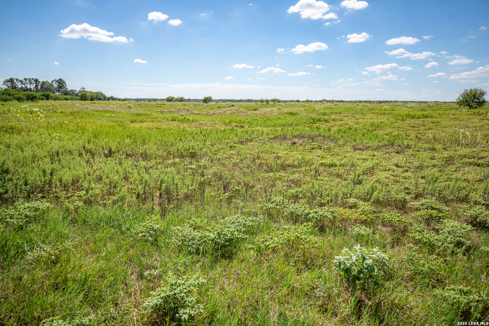 0 Hotz Rd, Cuero, TX 77954