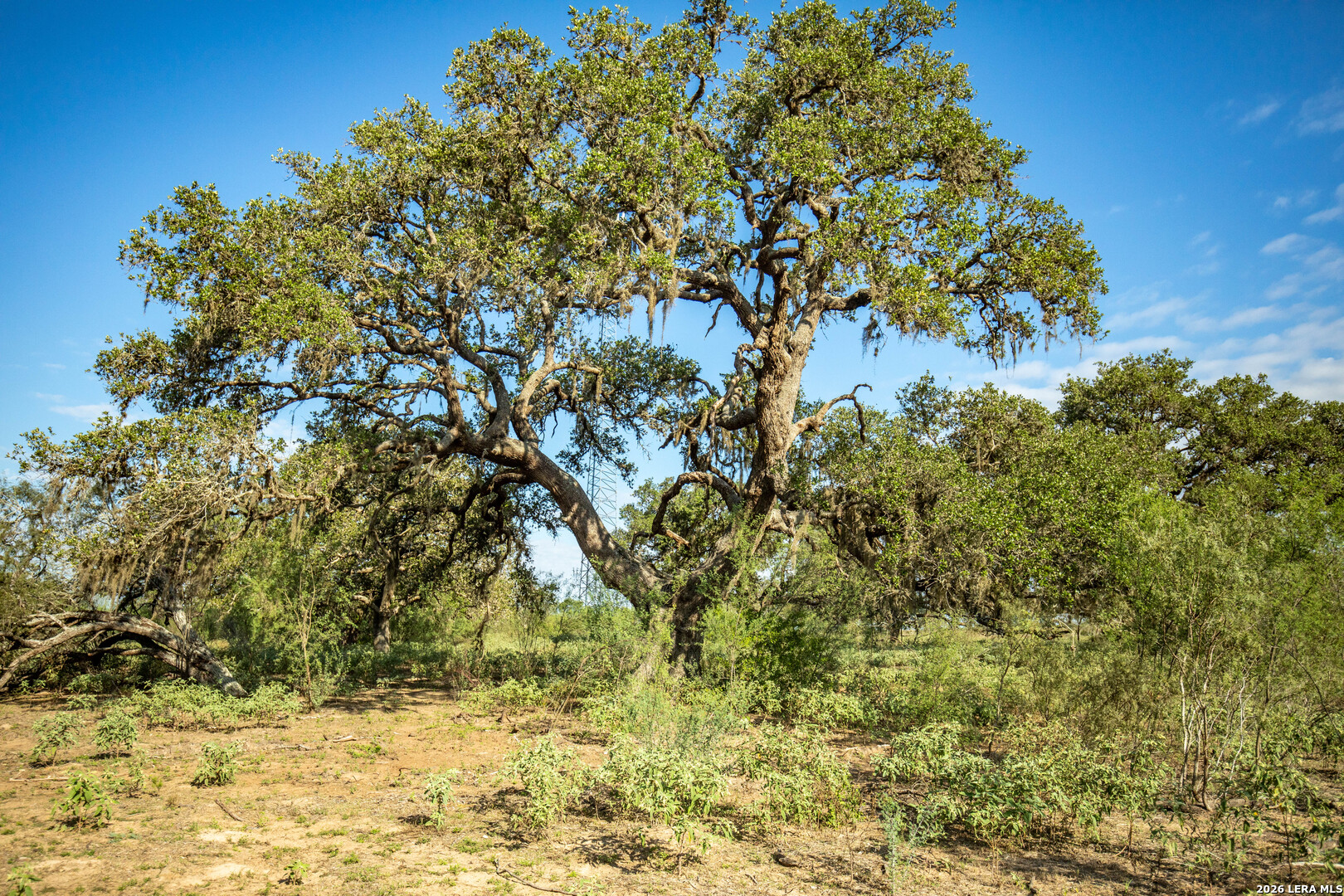 1116 Earl Williams, Cuero, TX 77954