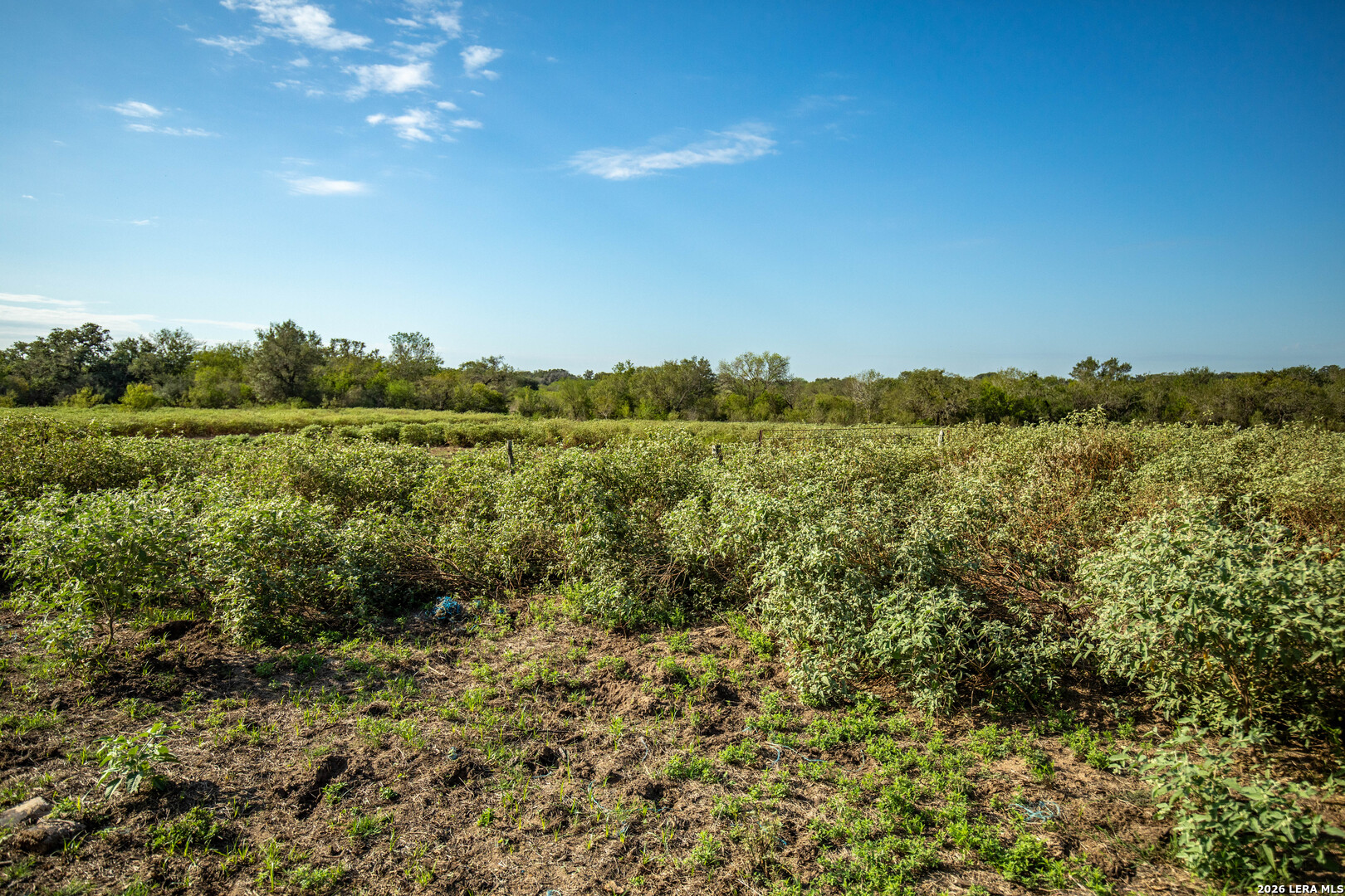 1116 Earl Williams, Cuero, TX 77954
