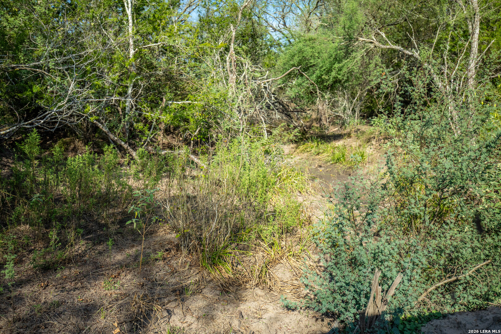 1116 Earl Williams, Cuero, TX 77954