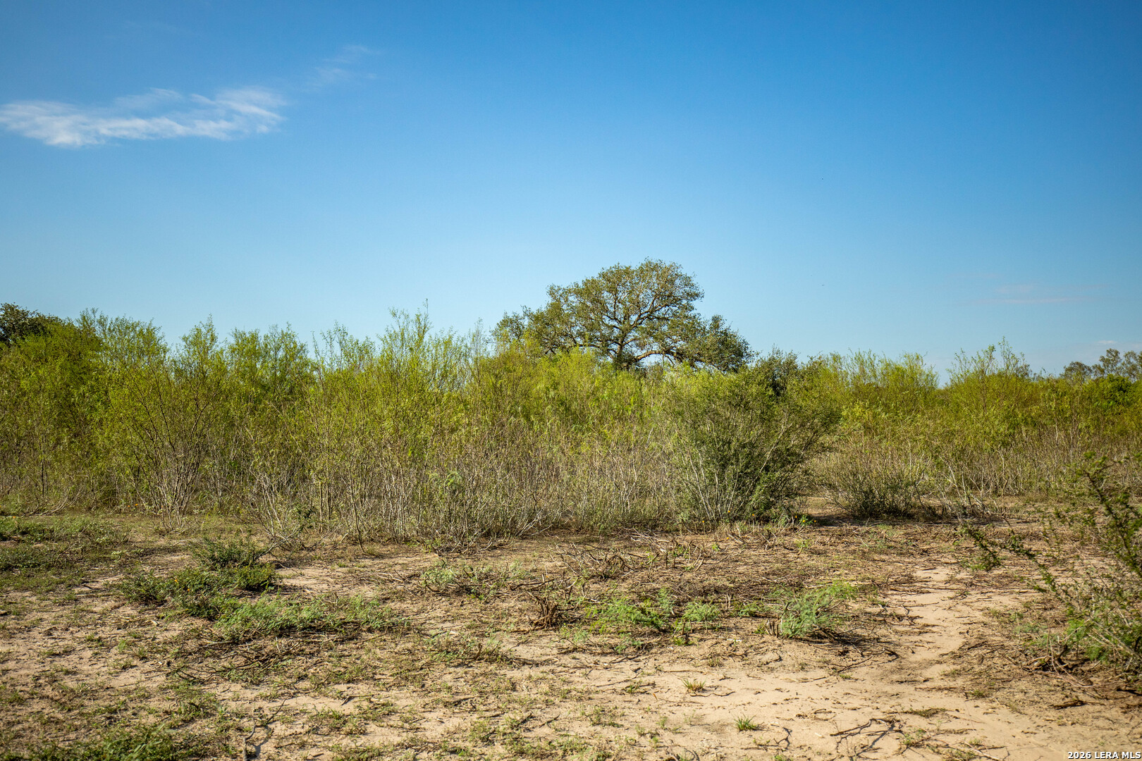 1116 Earl Williams, Cuero, TX 77954