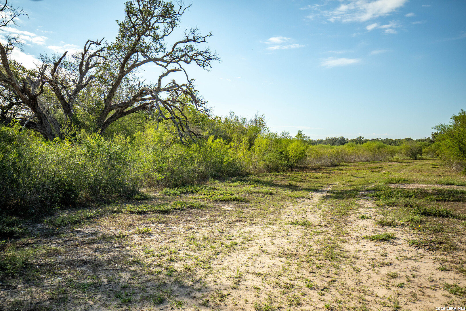 1116 Earl Williams, Cuero, TX 77954
