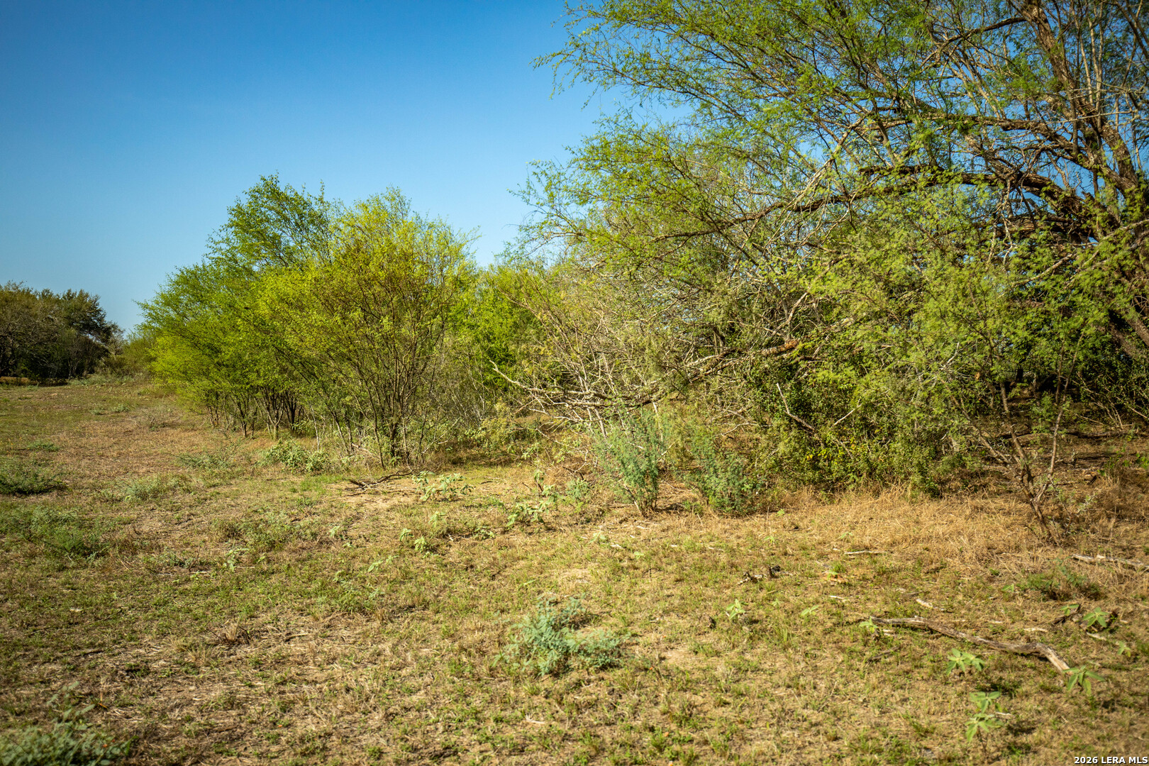 1116 Earl Williams, Cuero, TX 77954