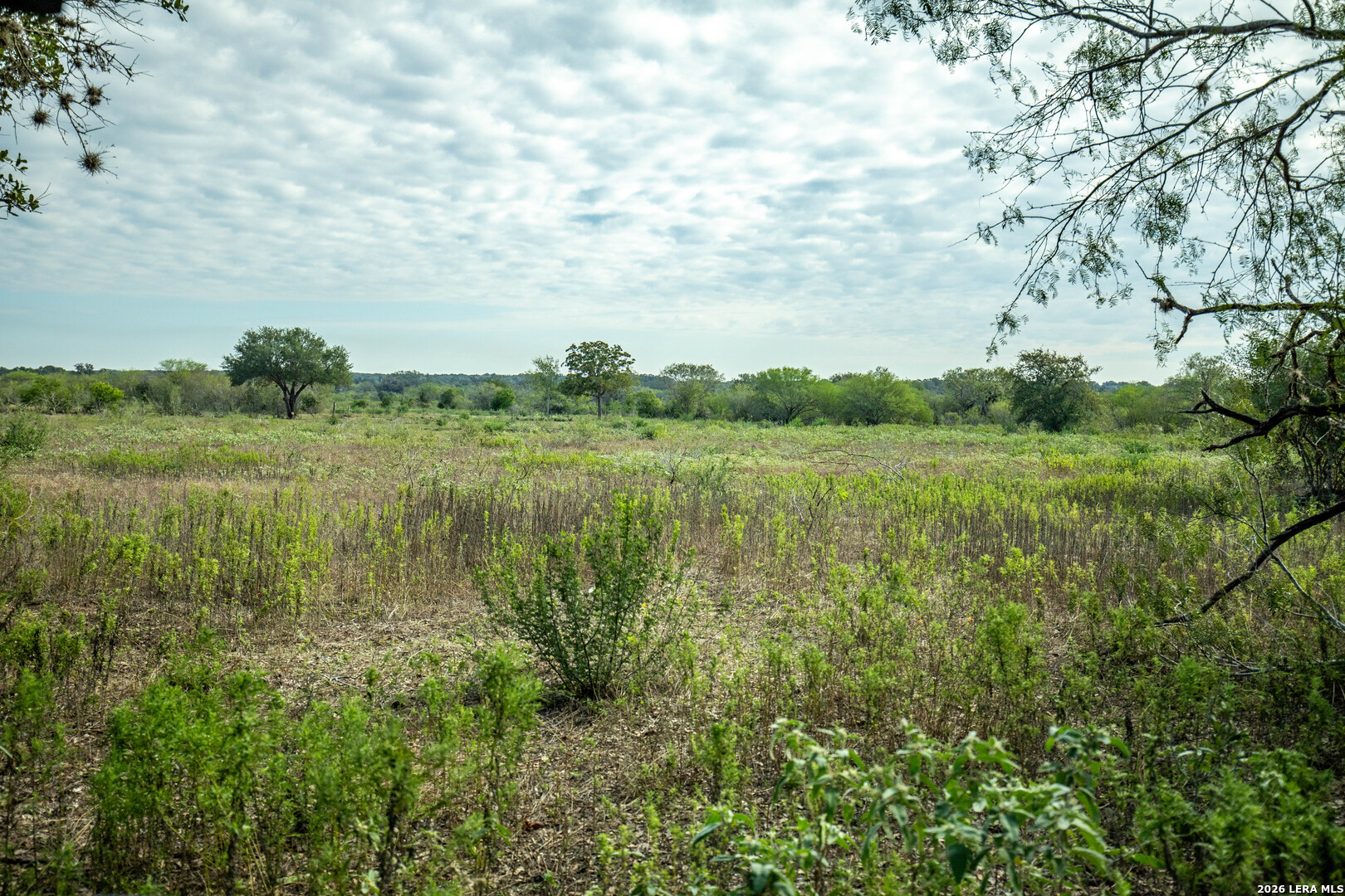 1116 Earl Williams, Cuero, TX 77954