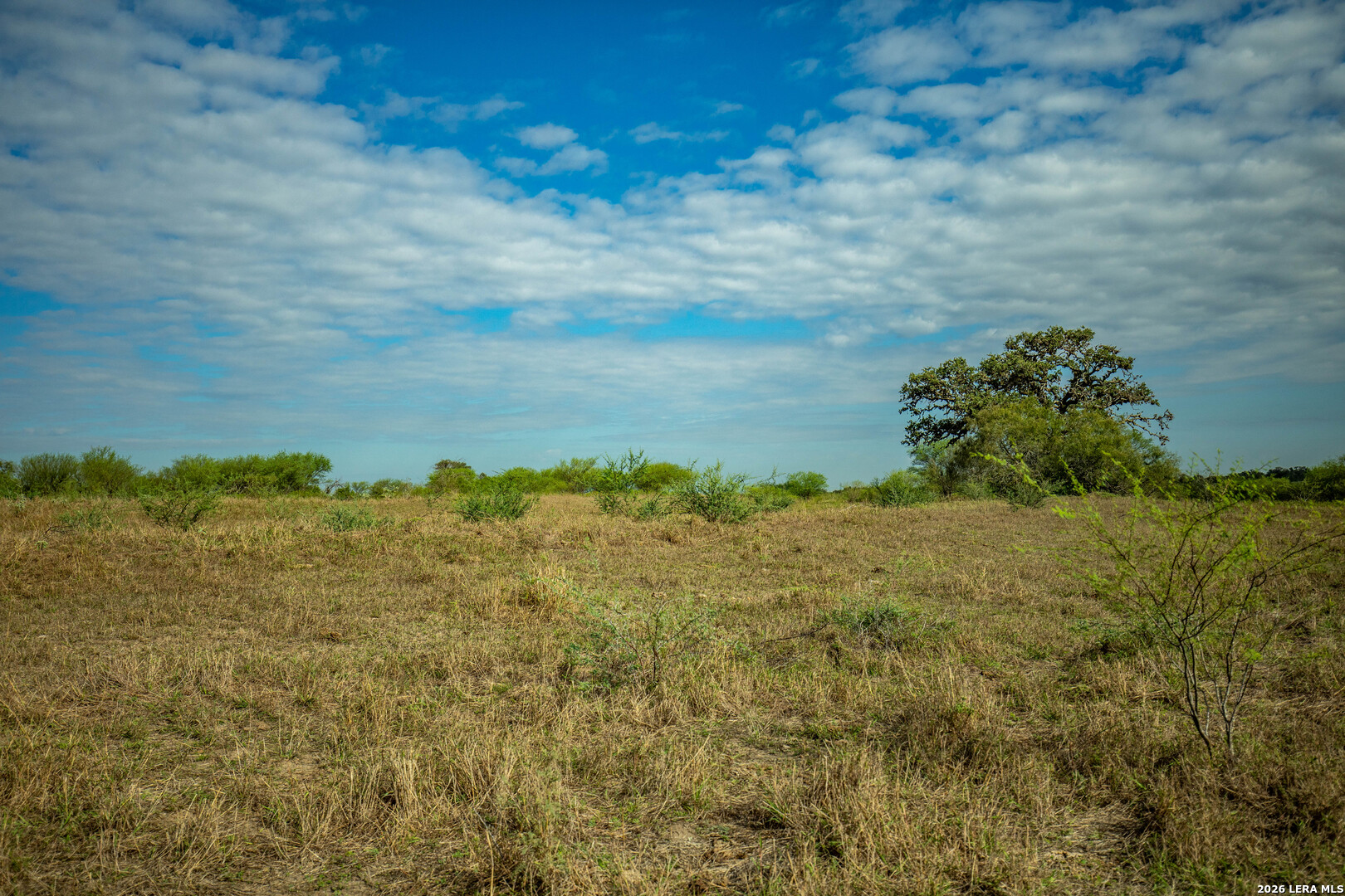 1116 Earl Williams, Cuero, TX 77954