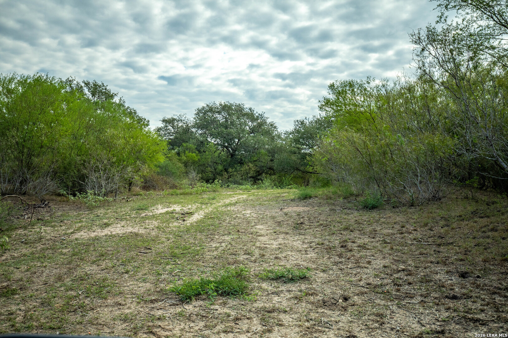 1116 Earl Williams, Cuero, TX 77954