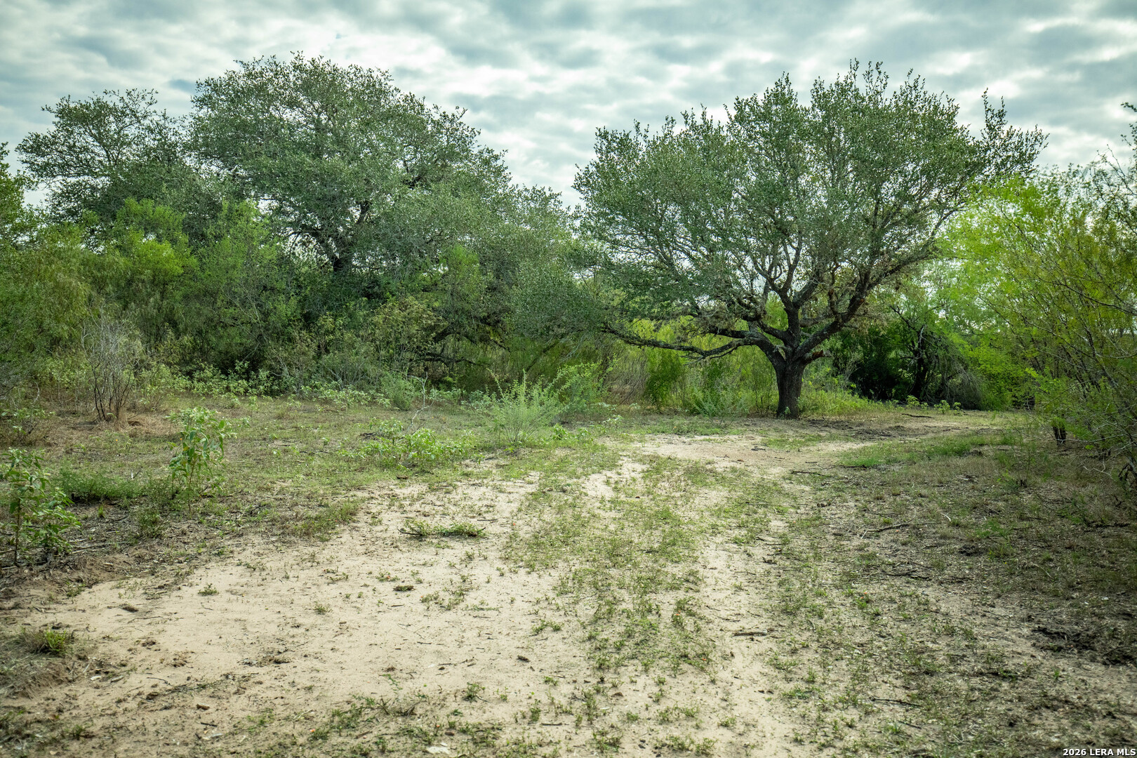 1116 Earl Williams, Cuero, TX 77954