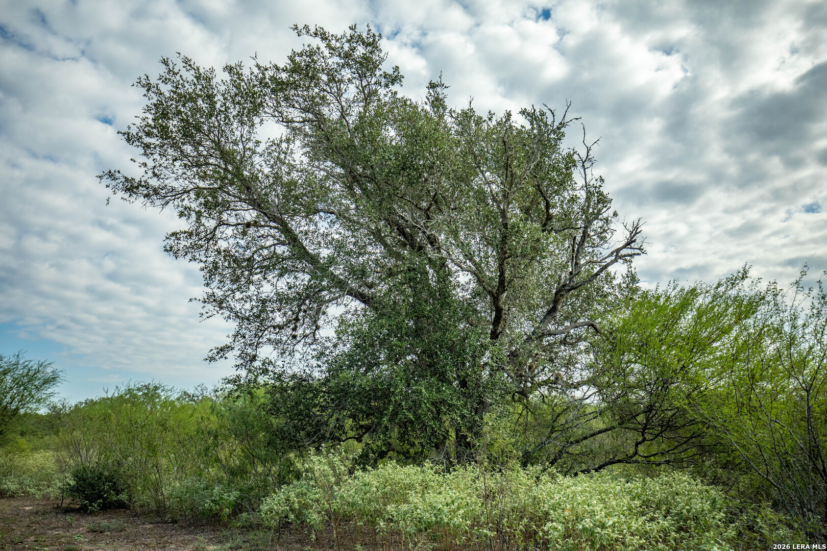 1116 Earl Williams, Cuero, TX 77954