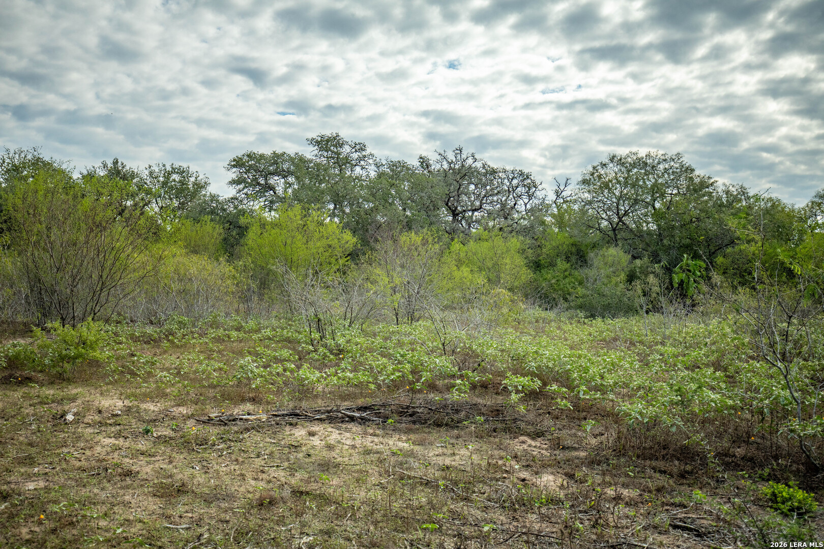 1116 Earl Williams, Cuero, TX 77954