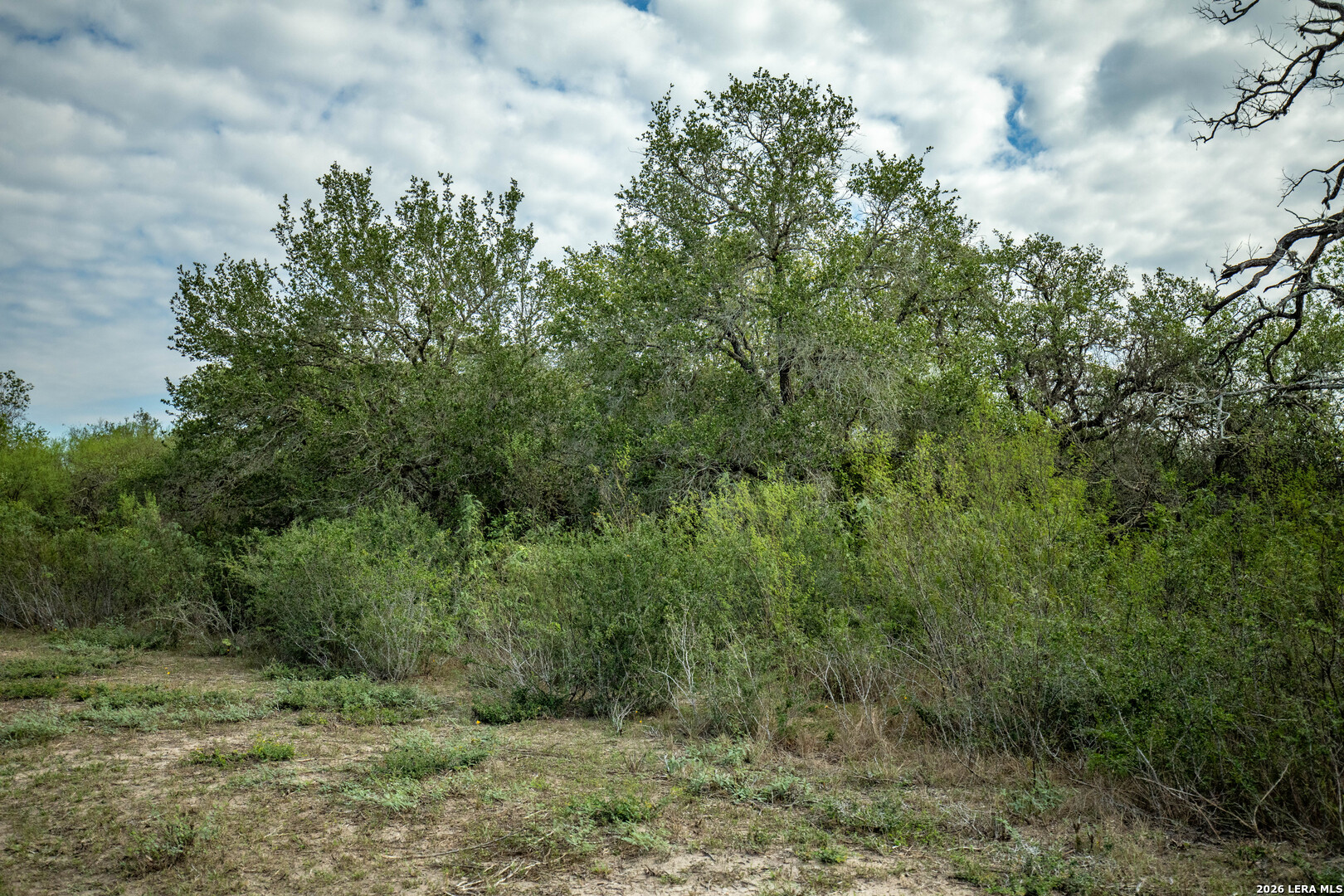 1116 Earl Williams, Cuero, TX 77954