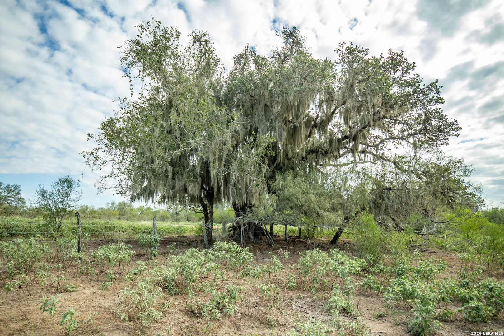 1116 Earl Williams, Cuero, TX 77954