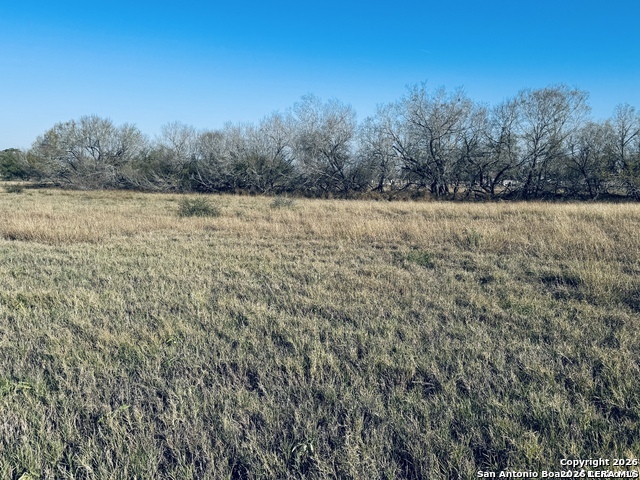 TBD BYRD ROAD Byrd, La Vernia, TX 78064