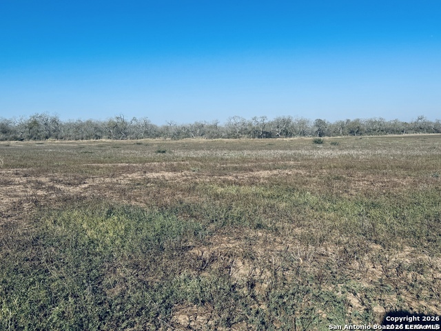 TBD BYRD ROAD Byrd, La Vernia, TX 78064