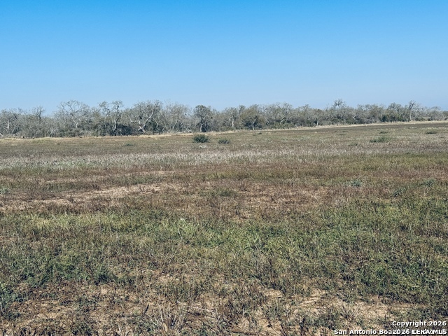 TBD BYRD ROAD Byrd, La Vernia, TX 78064