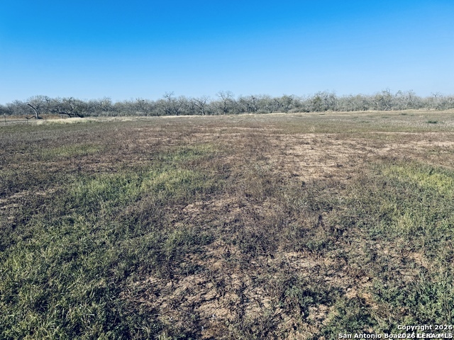 TBD BYRD ROAD Byrd, La Vernia, TX 78064