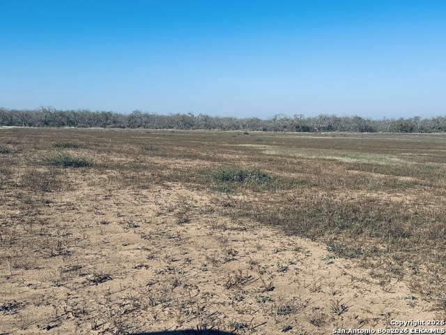 TBD BYRD ROAD Byrd, La Vernia, TX 78064