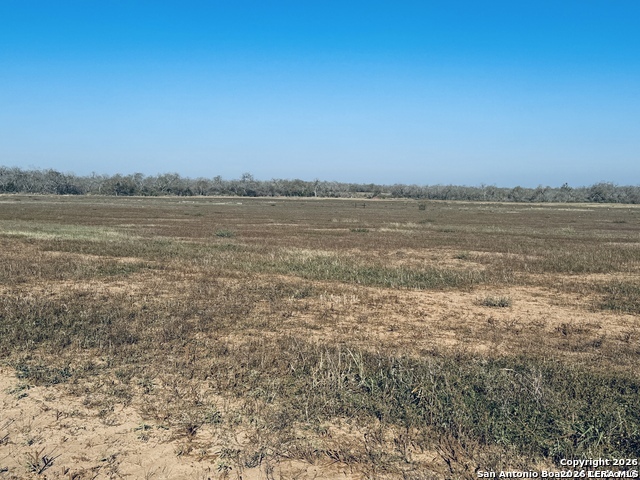 TBD BYRD ROAD Byrd, La Vernia, TX 78064