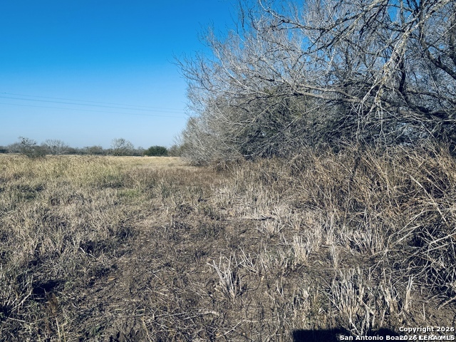 TBD BYRD ROAD Byrd, La Vernia, TX 78064