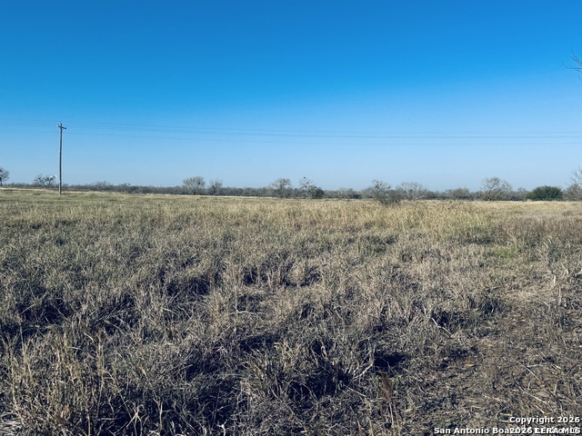TBD BYRD ROAD Byrd, La Vernia, TX 78064
