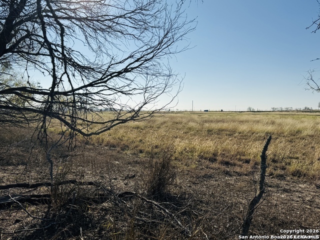 TBD BYRD ROAD Byrd, La Vernia, TX 78064