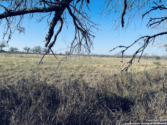 TBD BYRD ROAD Byrd, La Vernia, TX 78064