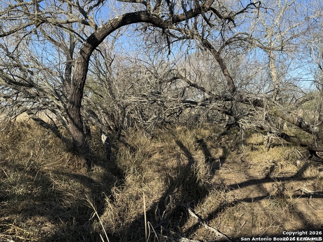 TBD BYRD ROAD Byrd, La Vernia, TX 78064