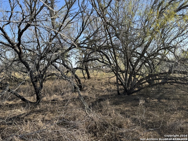 TBD BYRD ROAD Byrd, La Vernia, TX 78064