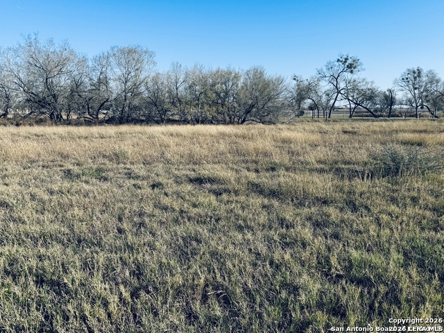 TBD BYRD ROAD Byrd, La Vernia, TX 78064