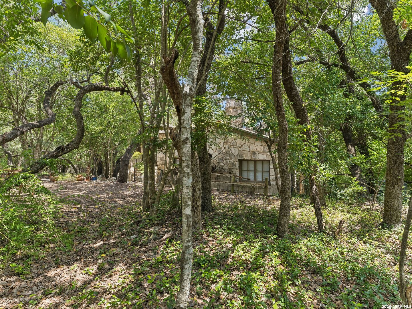 19592 Bluehill Pass, Helotes, TX 78023