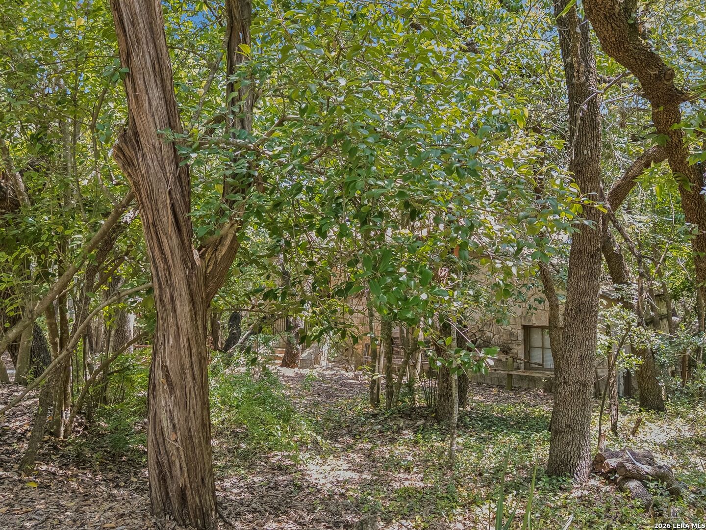 19592 Bluehill Pass, Helotes, TX 78023