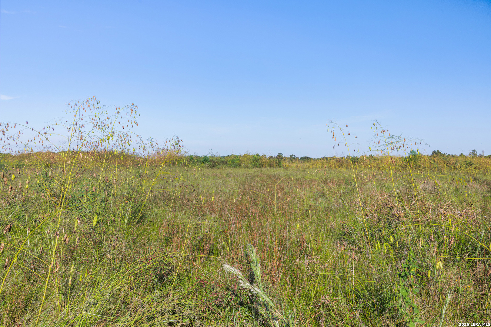 15821 TRI CITY BEACH RD, Beachcity, TX 77523