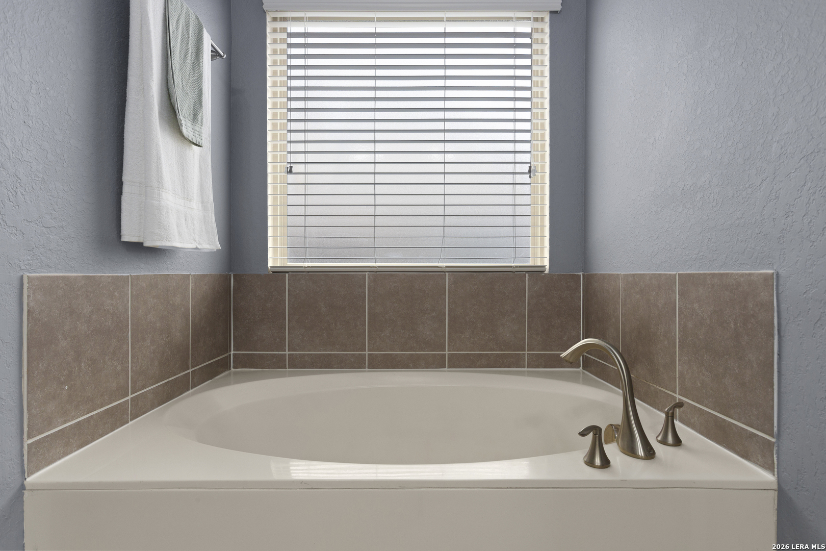22415 Carriage Bush, San Antonio, TX 78261