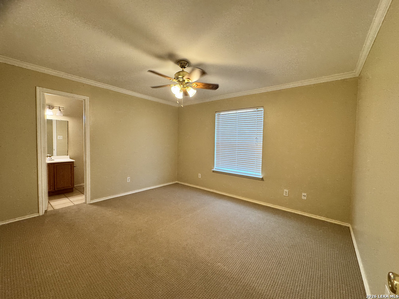 10726 SHAENCREST, San Antonio, TX 78254