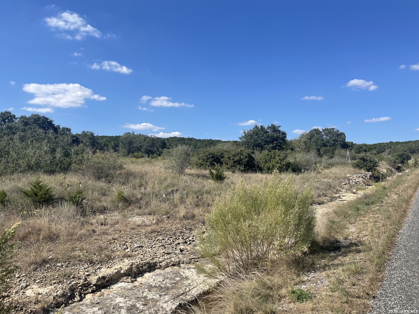 TBD LOT 8 Pr 2775, Mico, TX 78056