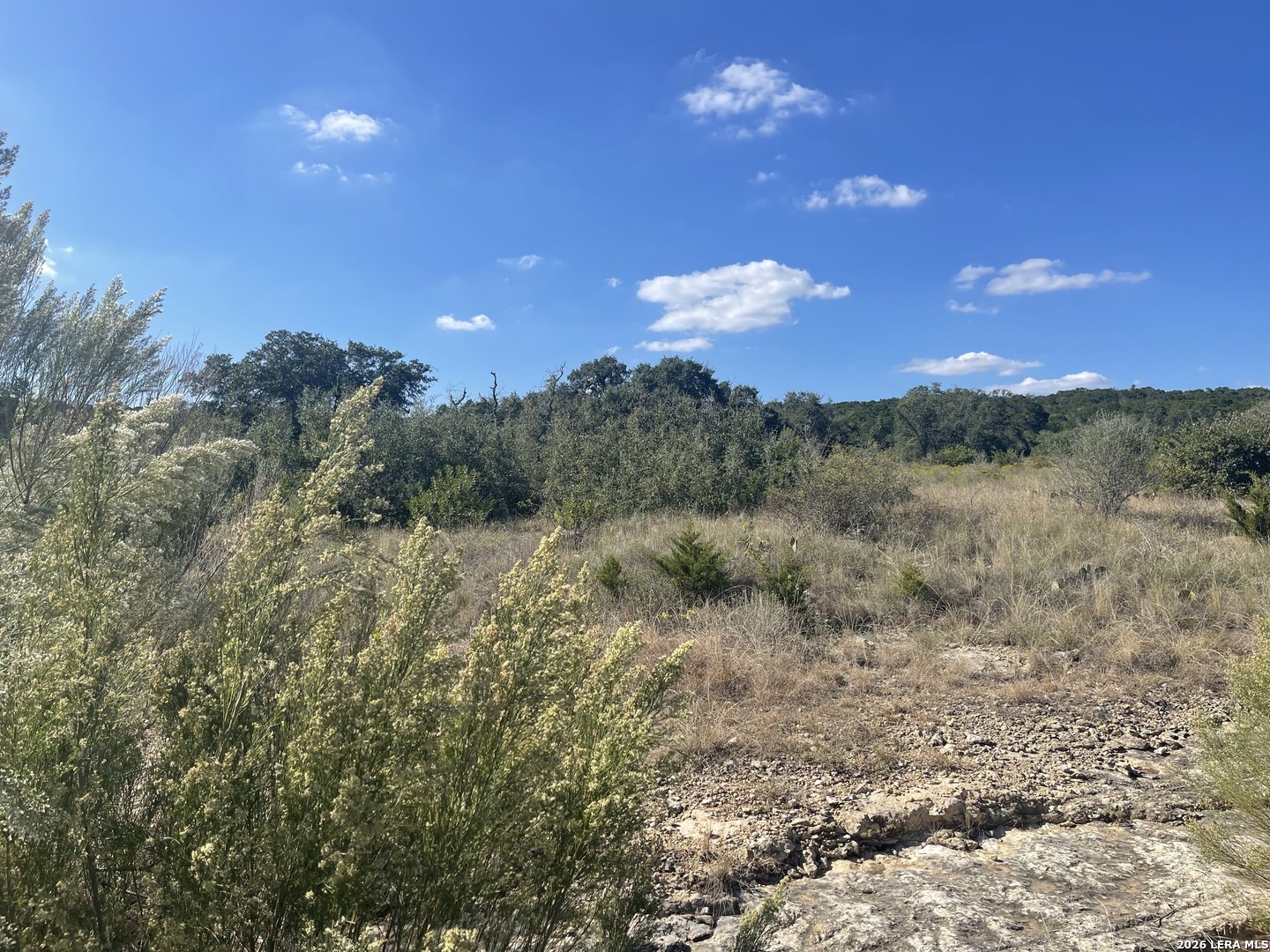 TBD LOT 8 Pr 2775, Mico, TX 78056