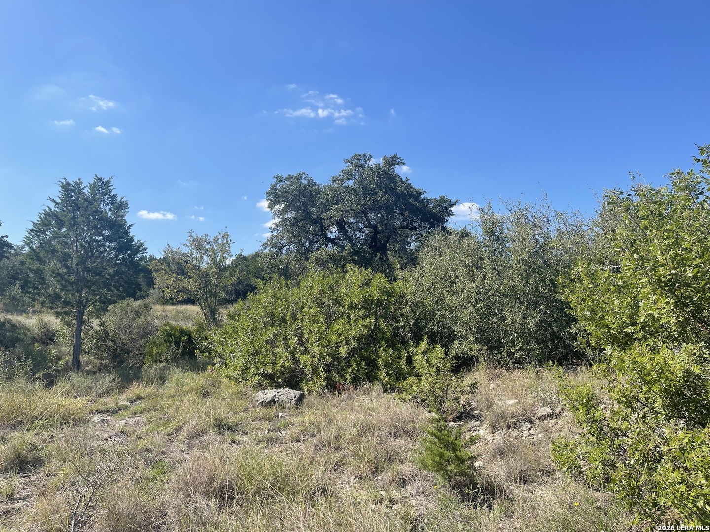TBD LOT 8 Pr 2775, Mico, TX 78056