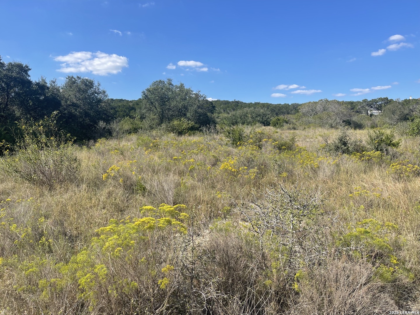 TBD LOT 8 Pr 2775, Mico, TX 78056