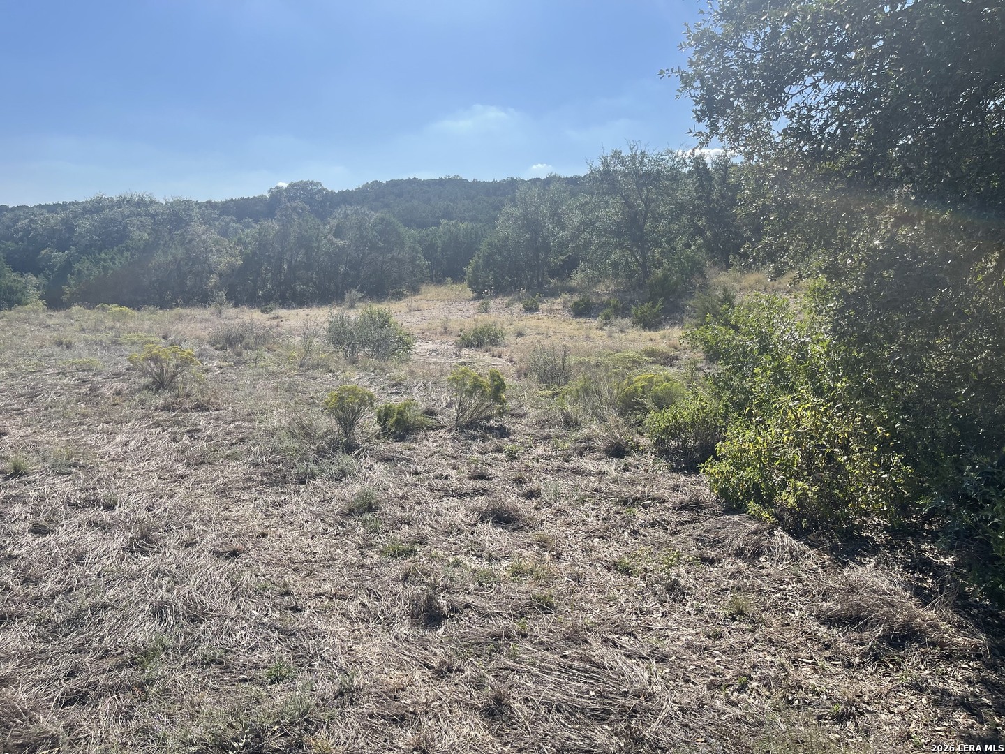 TBD LOT 8 Pr 2775, Mico, TX 78056