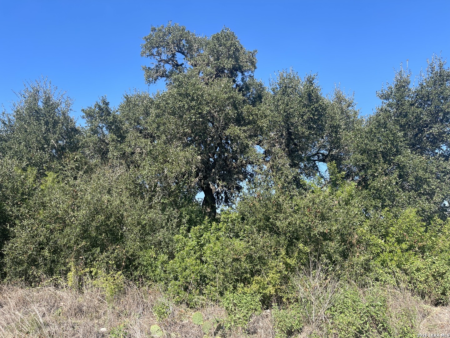 TBD LOT 8 Pr 2775, Mico, TX 78056