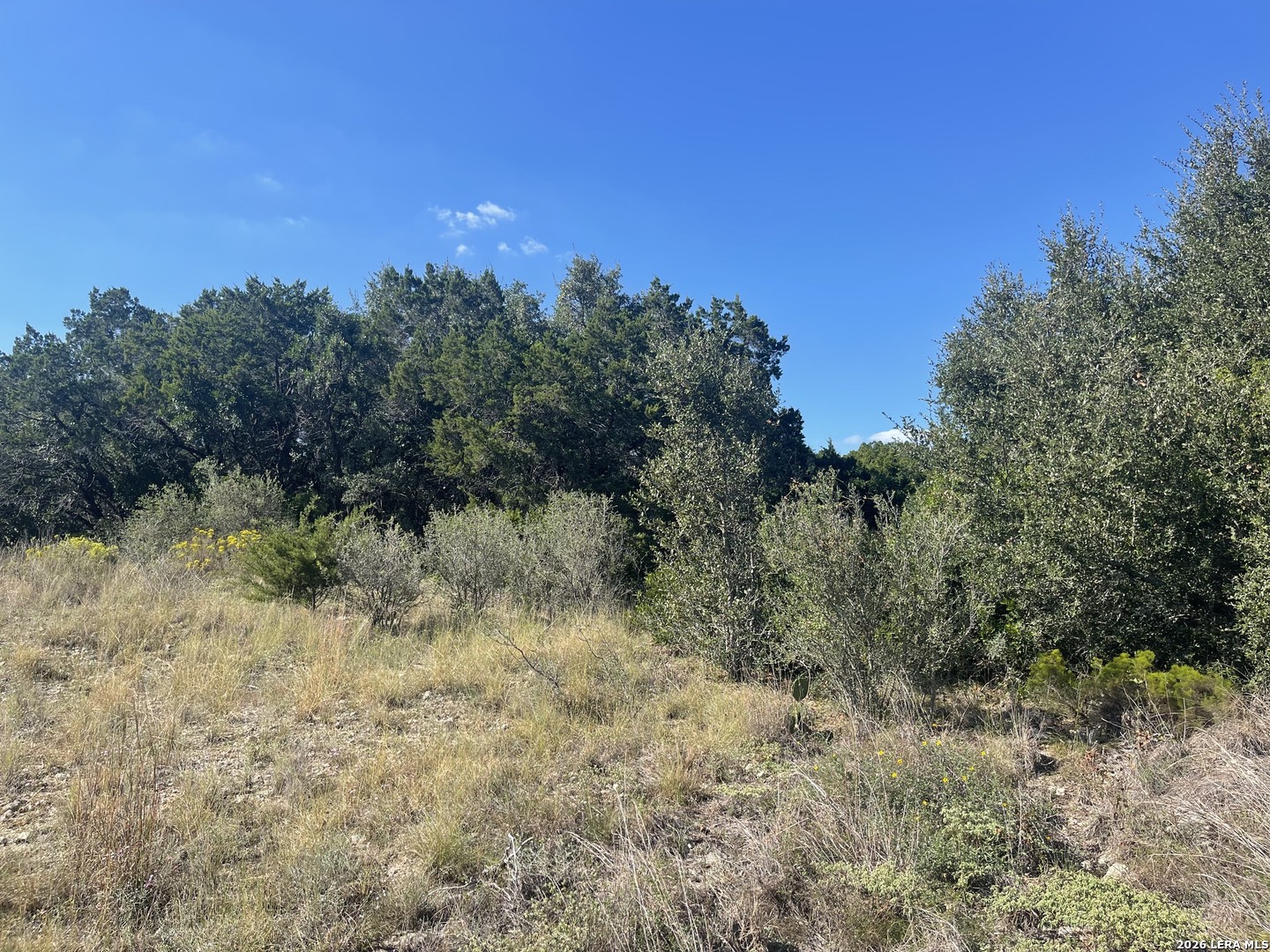 TBD LOT 8 Pr 2775, Mico, TX 78056