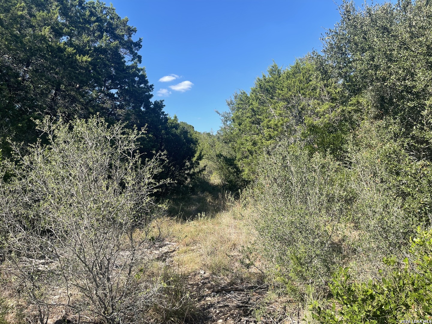 TBD LOT 8 Pr 2775, Mico, TX 78056