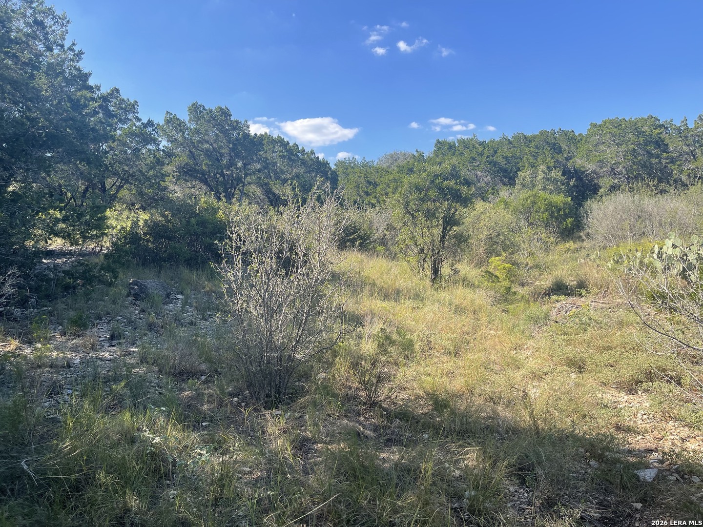 TBD LOT 8 Pr 2775, Mico, TX 78056