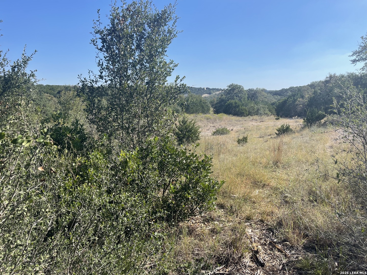 TBD LOT 8 Pr 2775, Mico, TX 78056