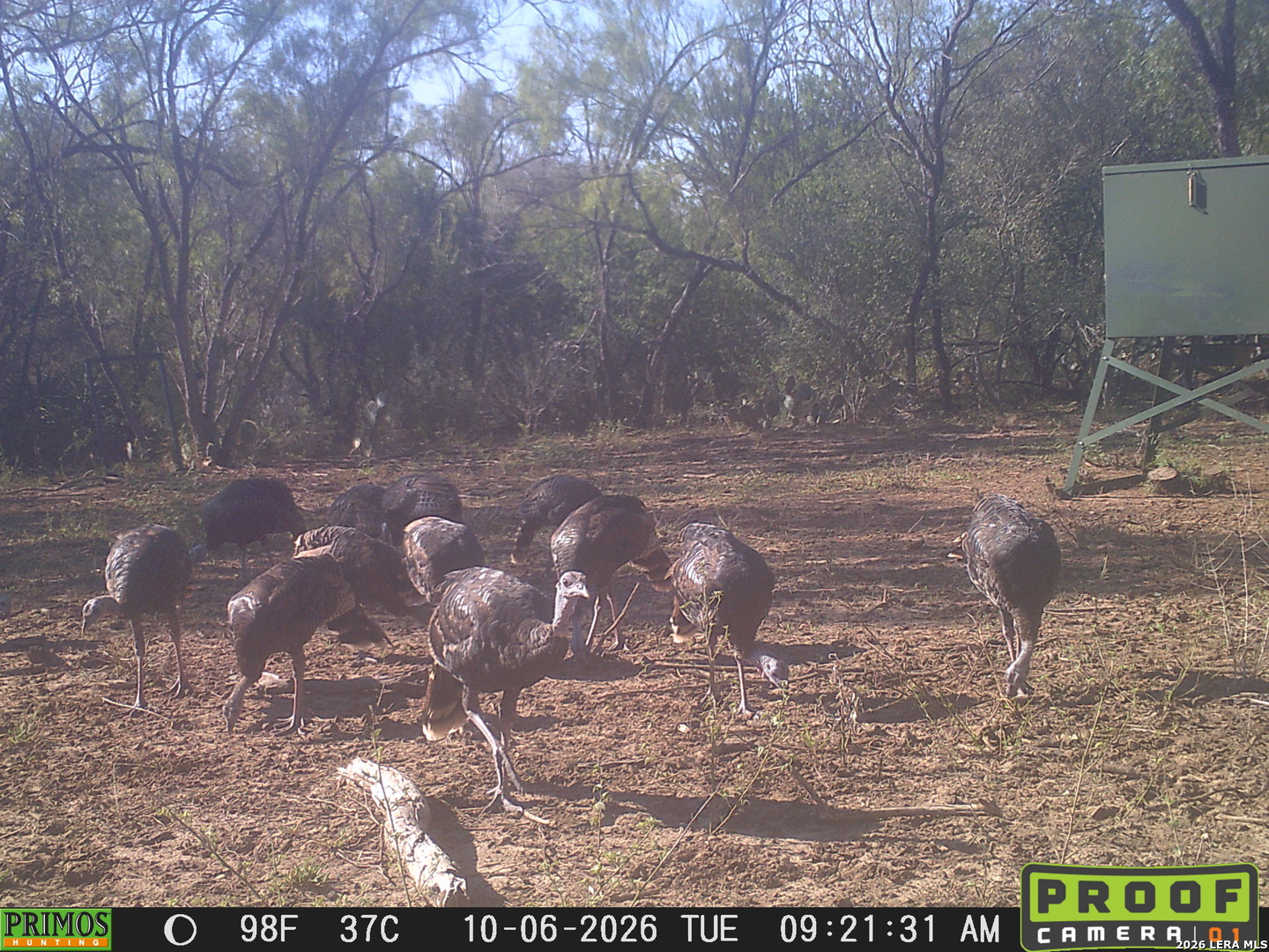 11943 Fm 472, Bigfoot, TX 78005