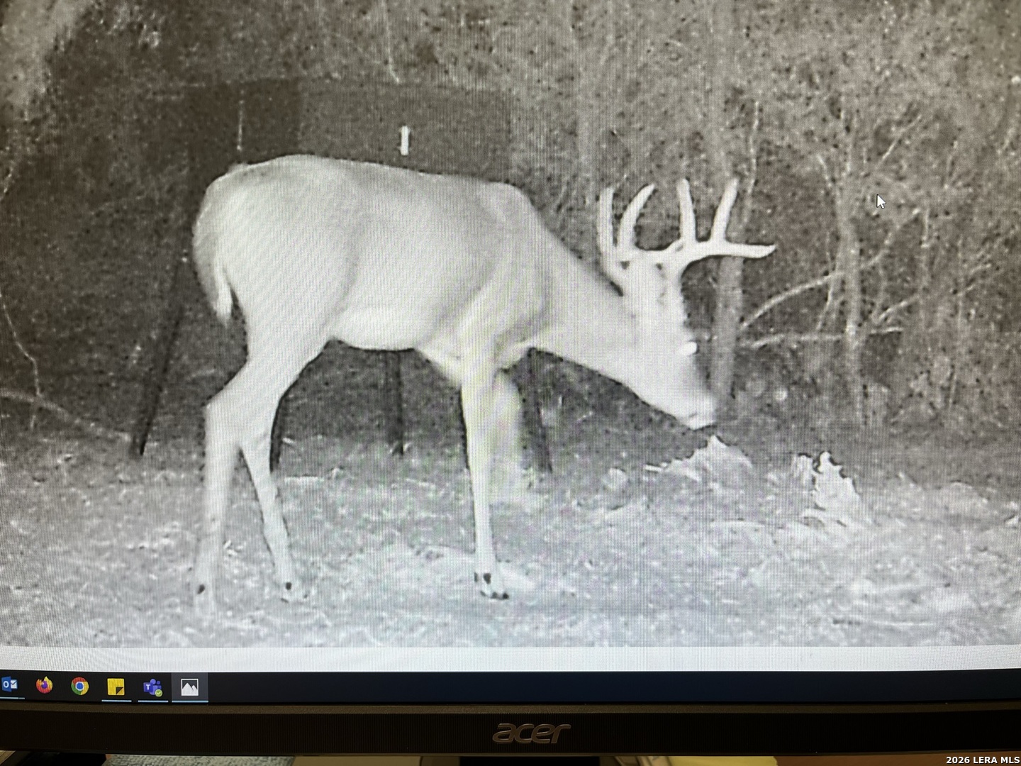 11943 Fm 472, Bigfoot, TX 78005