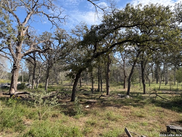 Property photo for 203 FLORES OAKS DR, Floresville, TX