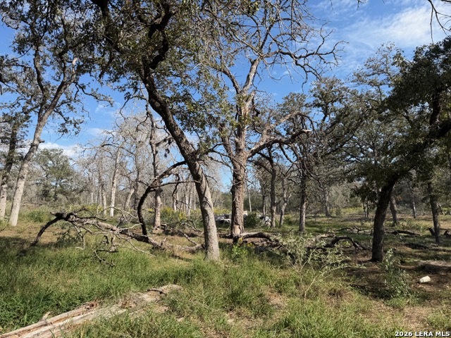 203 FLORES OAKS DR, Floresville, TX 78114