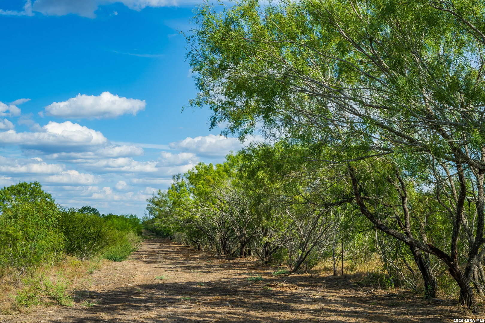 514 E FM 140, Christine, TX 78012